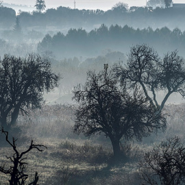 La niebla se extiende en las inmediaciones de Manacor.