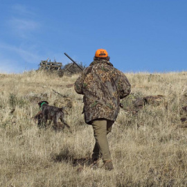 Podemos asume el modelo de Page sobre los perros de caza para salvar la aprobación de la ley de protección animal