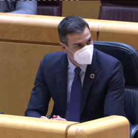 Sánchez: "Me manifiesto satisfecho con el funcionamiento de este Gobierno de coalición"