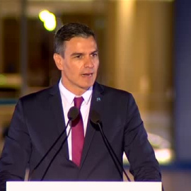 Sánchez pide "un debate a nivel europeo sobre el marco normativo de los mercados de la electricidad"