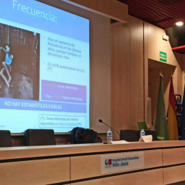 El forense José Antonio Menéndez de Lucas. durante su exposición en las jornadas del Hospital Infantil Universitario Niño Jesús. PÚBLICO