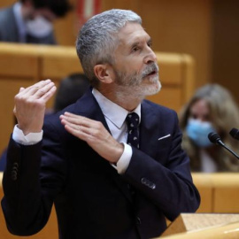 Fernando Grande-Marlaska, este martes en el Senado.