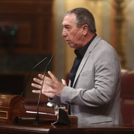 El diputado de Compromís en el Congreso, Joan Baldoví, interviene durante una sesión plenaria, a 14 de abril de 2021, en el Congreso de los Diputados
