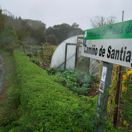 Una peregrina en el Concello de Palas de Rei (Lugo).
