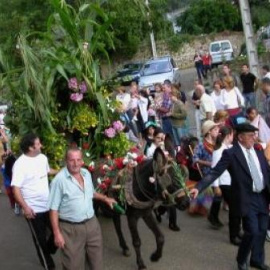Suelta de la gata negra, los vecinos llevan el carro en el que se encuentra la gata / Gobierno