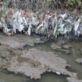 Cientos de toallitas quedan enredadas en las ramas de los árboles cercanos al río Jarama, en el Arroyo de Valdebebas, Madrid.