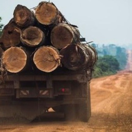 Deforestación en el Amazonas.