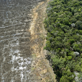 Vista área de la selva amazónica deforestada.