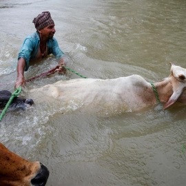 Un hombre atraviesa con dos vacas una zona inundada en el pueblo de Topa, en el distrito de Saptari, en Nepal. EFE/EPA/NARENDRA SHRESTHA