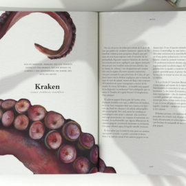 Dues de les pàgines del llibre 'Animals Invisibles'.