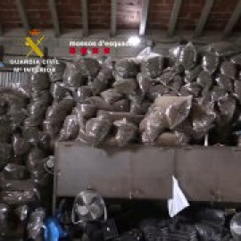 Requisadas casi 52 toneladas de marihuana en Barcelona y Tarragona