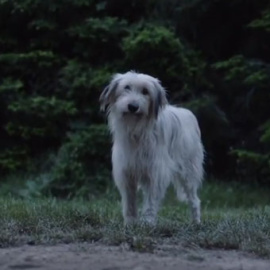 Vídeo de la campaña 'El nunca lo haría', de la Fundación Affinity.