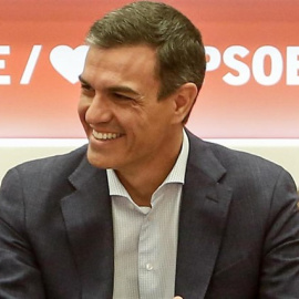 El secretario general del PSOE y presidente del Gobierno en funciones, Pedro Sánchez, durante la reunión de la Comisón Ejecutiva Federal del partido | Europa Press