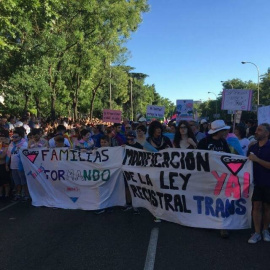 Manifestación por los derechos trans / COGAM