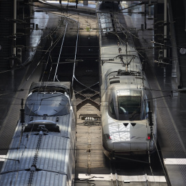 Varios trenes en la estación de trenes Puerta de Atocha-Almudena Grandes.
