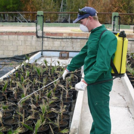 Trabajador de uno de los centros especiales de empleo que recibió las ayudas el pasado año, Fundown Plant.