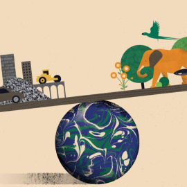 Este año la masa antropogénica superará a la natural. / Itai Raveh