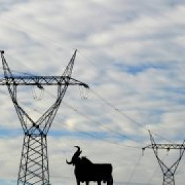 Los hogares vulnerables españoles son los más castigados de Europa por la subida de la luz: pagan un 55% más que hace seis meses