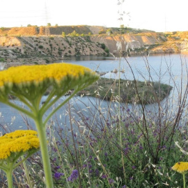 Vista general de una de las balsas de agua de la laguna de Ambroz, en el distrito madrileño de San Blas-Canillejas.