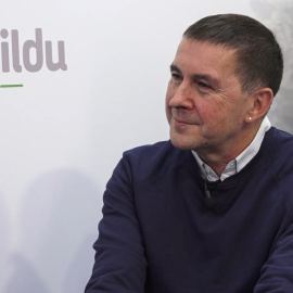 Otegi Entrevista Dic20