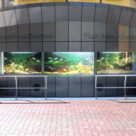 El acuario municipal de Plaza Nueva. Ayuntamiento de Alicante.