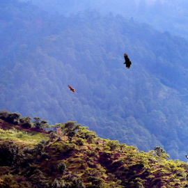 08/10/2021 Mirador Honduras