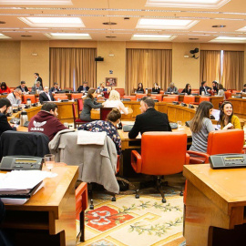 Reunión de la Diputación Permanente del Congreso, del pasado 28 de enero. CONGRESO