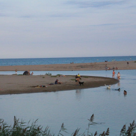 Aiguamolls del Ter/ Irene Benedicto