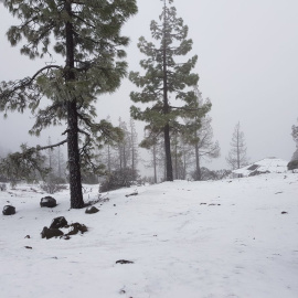 Canarias está en alerta por un temporal con lluvias, vientos fuertes y nieve. / @CarlBeltrn