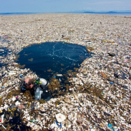 Isla de plásticos detectada el año pasado frente a las costas de Honduras por la fotógrafa Caroline Power, que ha dado lugar a un incidente diplomático con Guatemala.