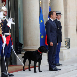 El presidente francés Emmanuel Macron y su perro Nemo, en su residencia oficial del Palacio del Eliseo, en París. REUTERS/Charles Platiau