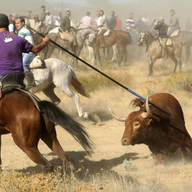 Celebración del Toro de la Vega. AFP