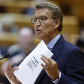El líder del PP, Alberto Núñez Feijóo, interviene en el pleno del Senado celebrado este martes en Madrid.- EFE/ Juanjo Martín