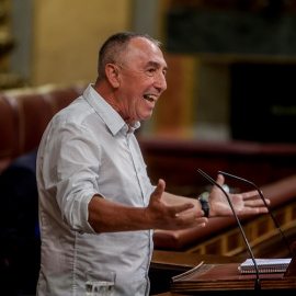 El portavoz de Compromís, Joan Baldoví, interviene durante una sesión plenaria en el Congreso de los Diputados.- Ricardo Rubio / Europa Press