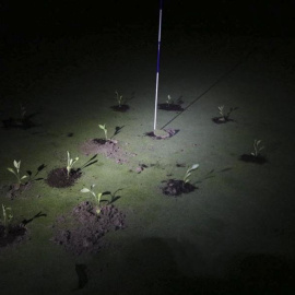 02/07/2023 - Campo Golf