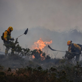 Incendios forestales a causa del cambio climático