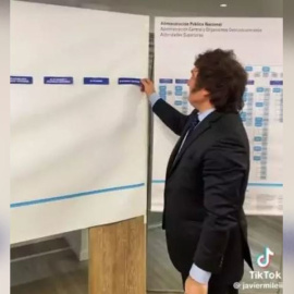 Javier Milei, en el vídeo de TikTok que él mismo ha subido a Internet