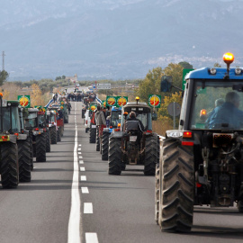 Las pérdidas que el veto ruso está causando en las explotaciones familiares de fruta de hueso han hecho que los agricultores se movilicen para reclamar soluciones.