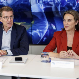 Alberto Núñez Feijóo