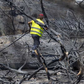 Un empleado repara el suministro eléctrico destruido en Kiotari, al sureste de Rodas, a 26 de julio de 2023, Grecia.