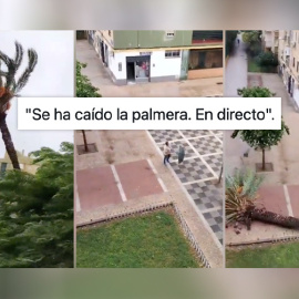 Tres fotogramas del vídeo.