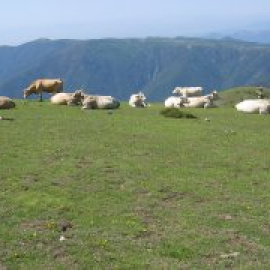 9 cims de Catalunya ideals per fer amb nens