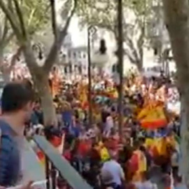 Captura del vídeo en el que aparece la mujer con la brecha tras recibir una pedrada en Palma de Mallorca.