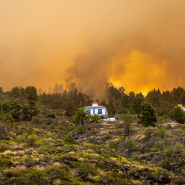 LLamas cerca de una vivienda en el incendio forestal declarado en la Palma, a 15 de julio de 2023, en Puntagorda, La Palma,