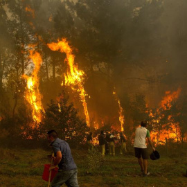 Un grupo de personas tratan de apagar el incendio de Zamanes, Vigo. EFE/Salvador Sas