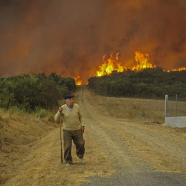 Viandante gallego. /EFE