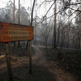 Zona quemada en la parroquia de Chandebrito (Pontevedra), donde murieron dos mujeres el pasado lunes. |  REUTERS