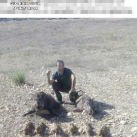 Imagen que publicaron en un foro de internet los cazadores denunciados. |  GC