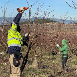 2023 - Un programa formatiu de la cooperativa Actua.
