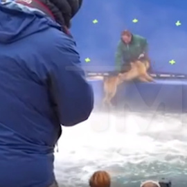 Imágenes del rodaje de la película 'A Dog's purpose' en la que se aprecia maltrato a un pastor alemán que se resiste a ser arrojado a aguas bravas. PÚBLICO/TMZ